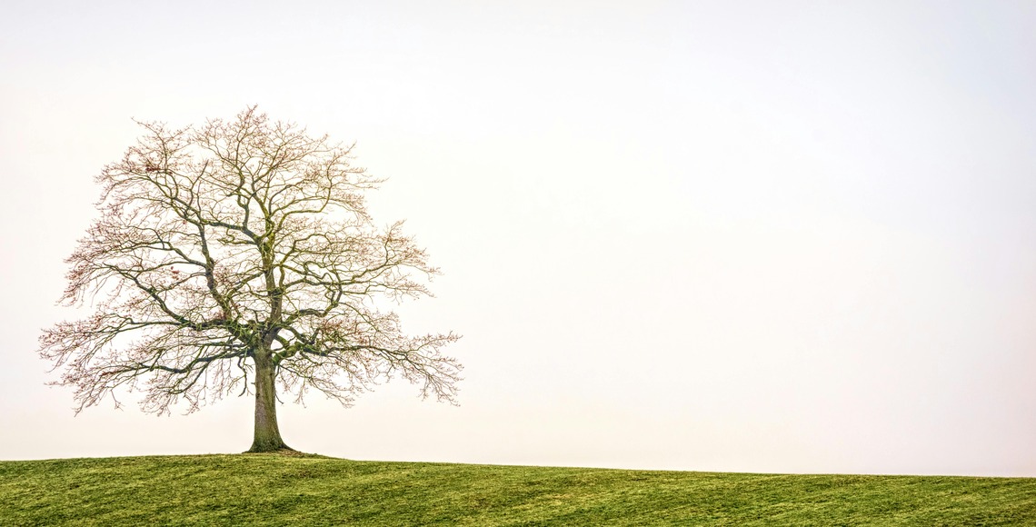 Eco-Friendly Afterlife? Know Your Green Burial Options