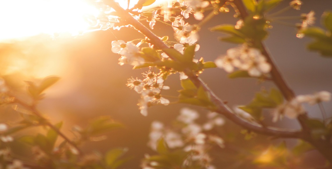 How to Spring Clean Your Brain