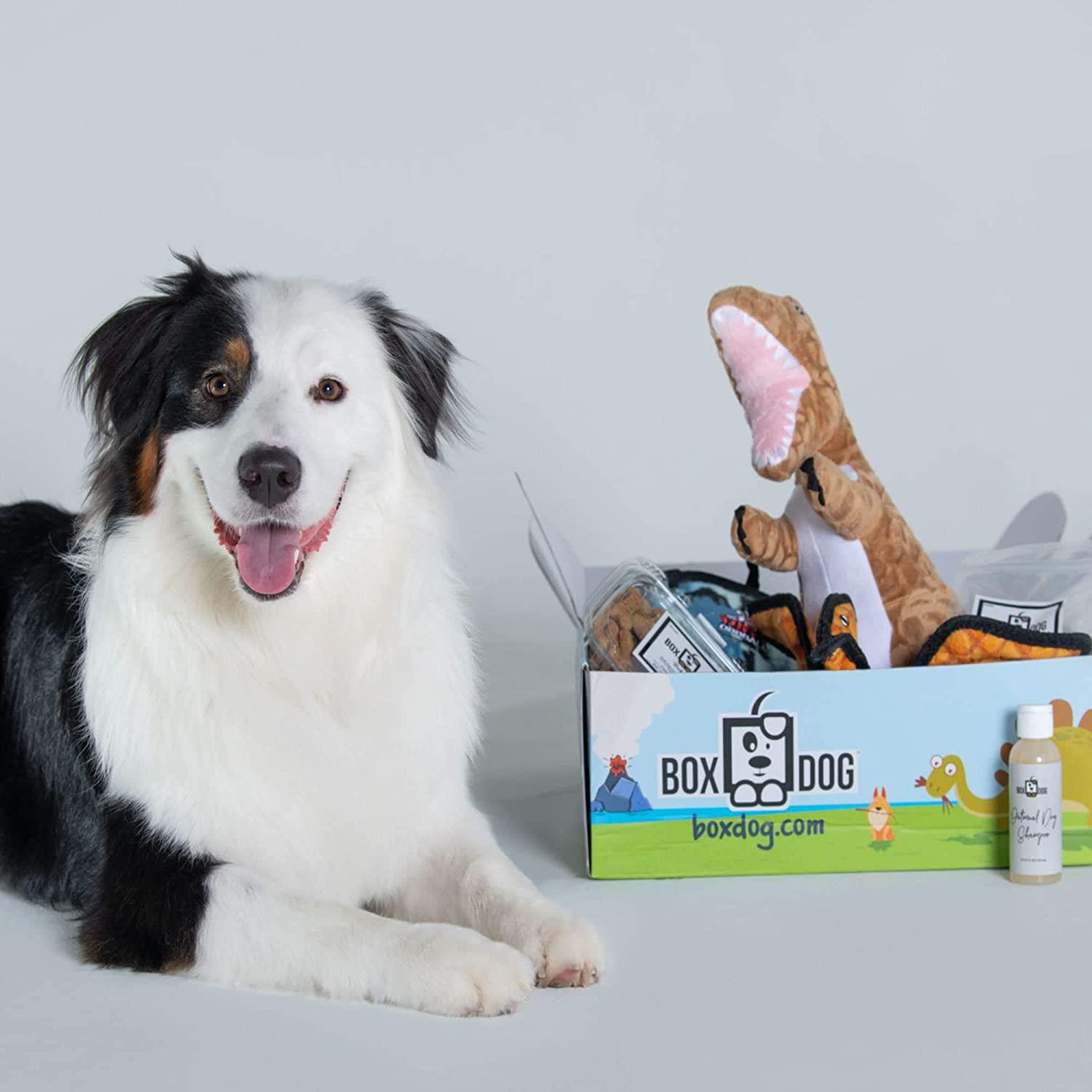 Yes, Your Dog Deserves Vegan Skincare