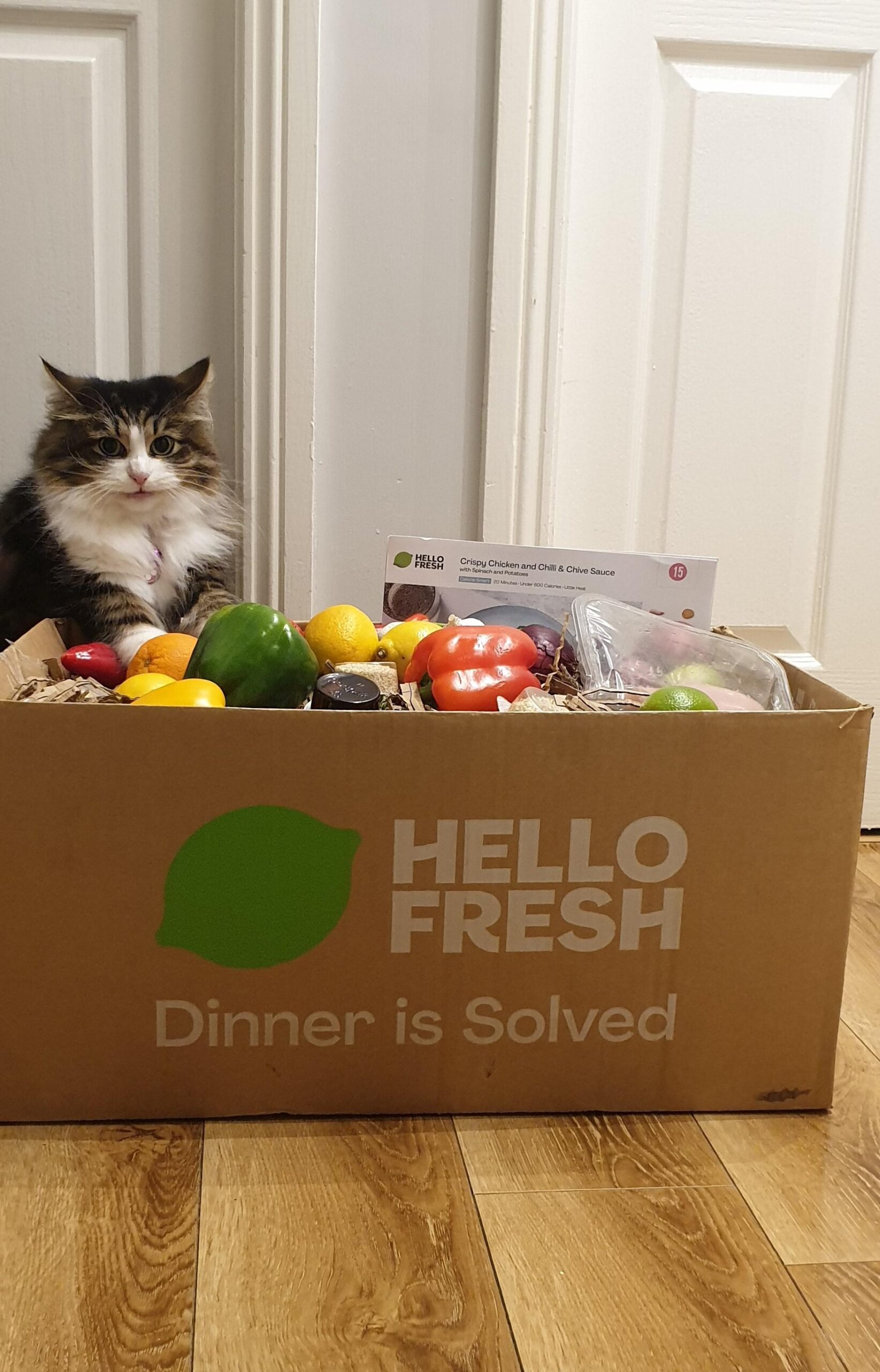 How HelloFresh Got Me Into Recipe Boxes