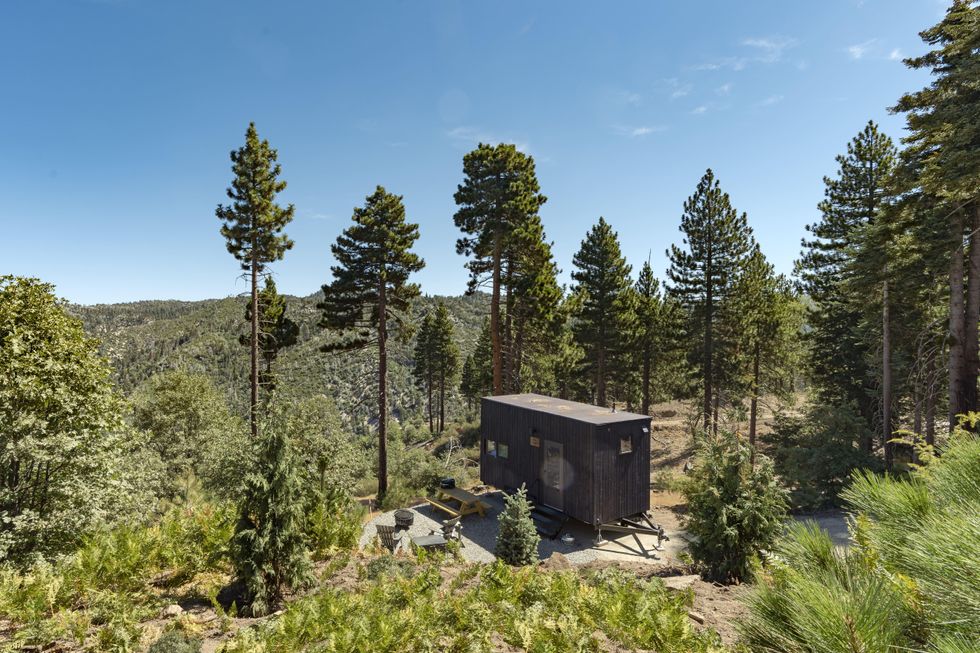 Getaway cabin with nature view