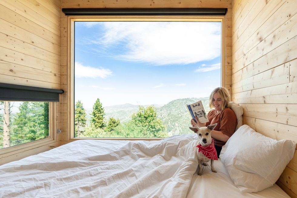 woman with dog on a bed reading a book in getaway cabin