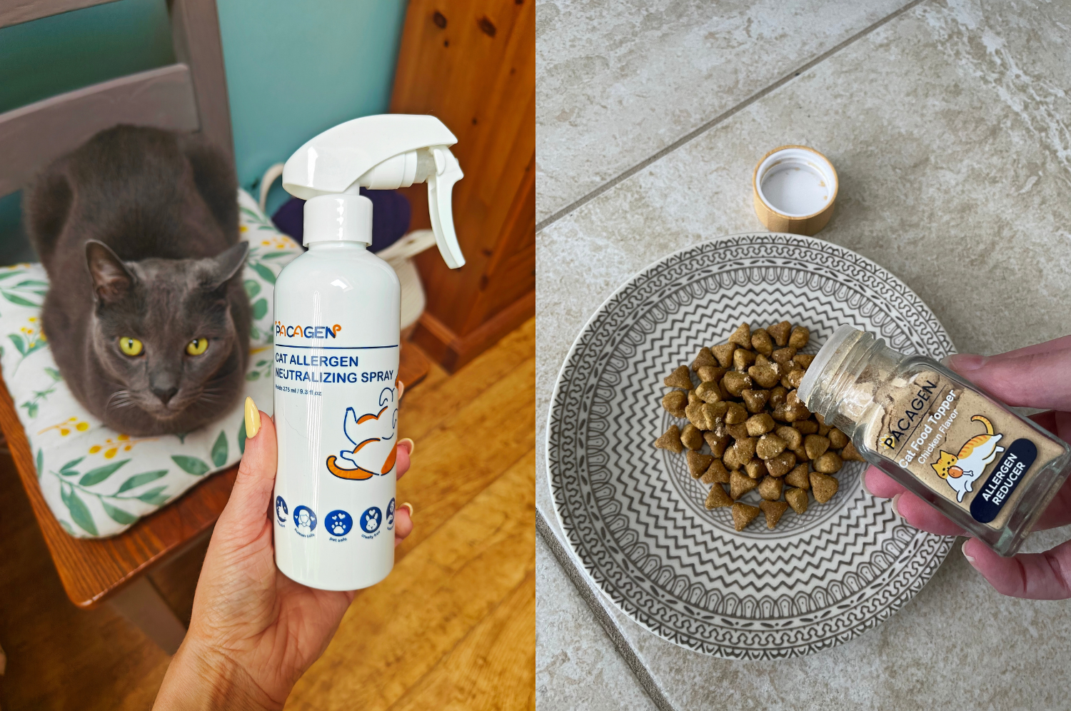 Say Goodbye To Cat Allergies With Pacagen